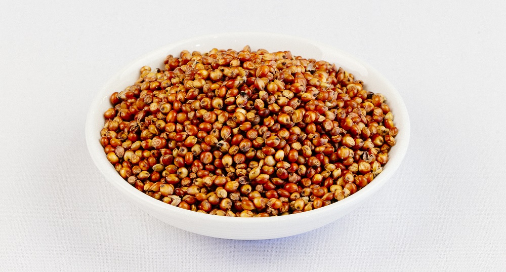 sorghum grains