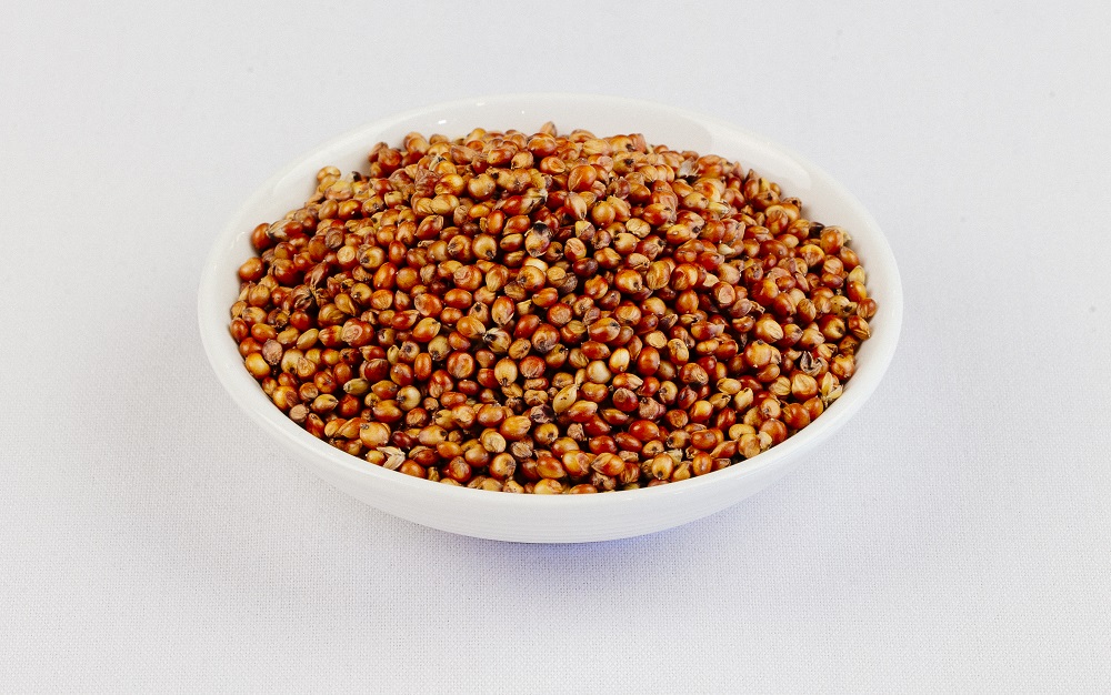 Sorghum grains